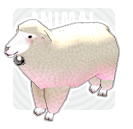 File:White Sheep.png