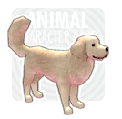 File:Golden Retriever.png