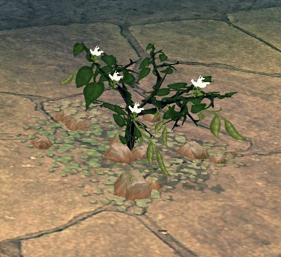 File:Magic Bean Patch.png