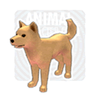 File:Yellow Jindo.png