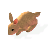 File:Rabbit.png